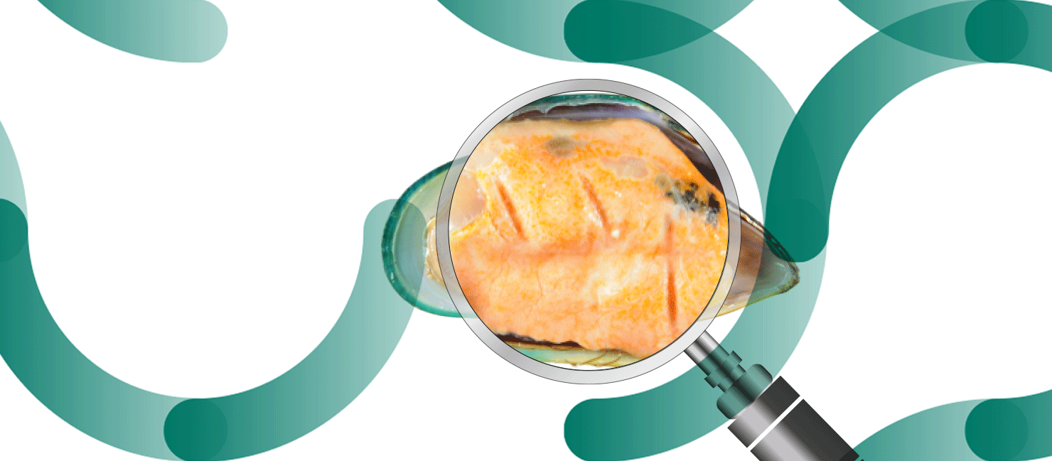 Wat is het verschil tussen glucosamine en groenlipmossel?