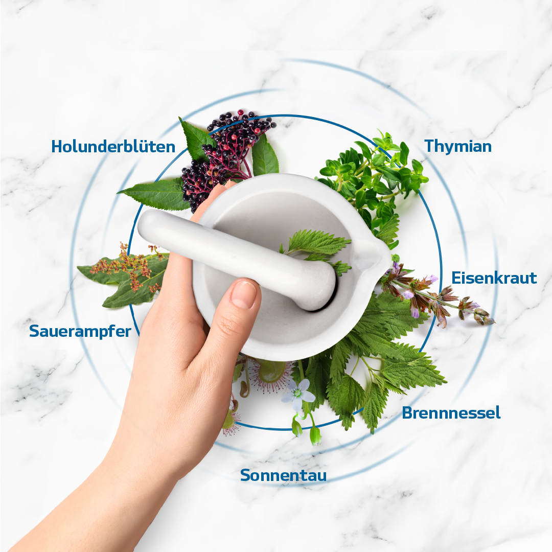Airflowcare (6 Kräuter-Elixier)