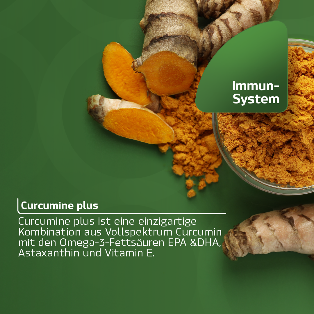 Curcumin Plus