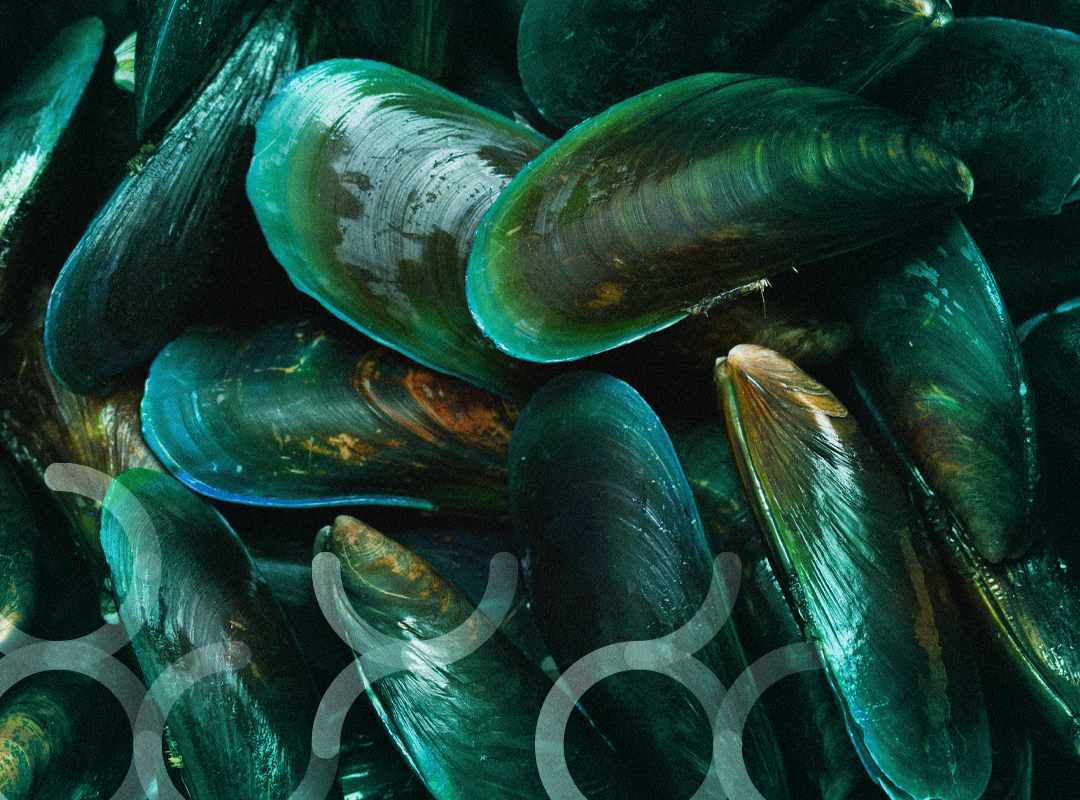 Groenlipmossel: hoe herkent u kwaliteitsproducten?