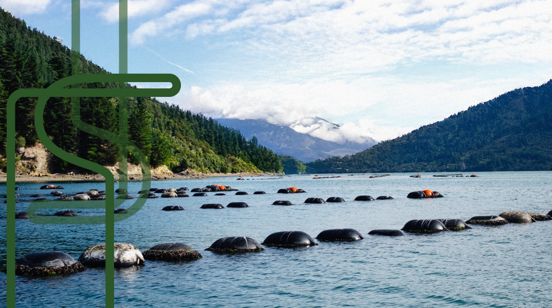 GLMax®: duurzaam gekweekte groenlipmossel