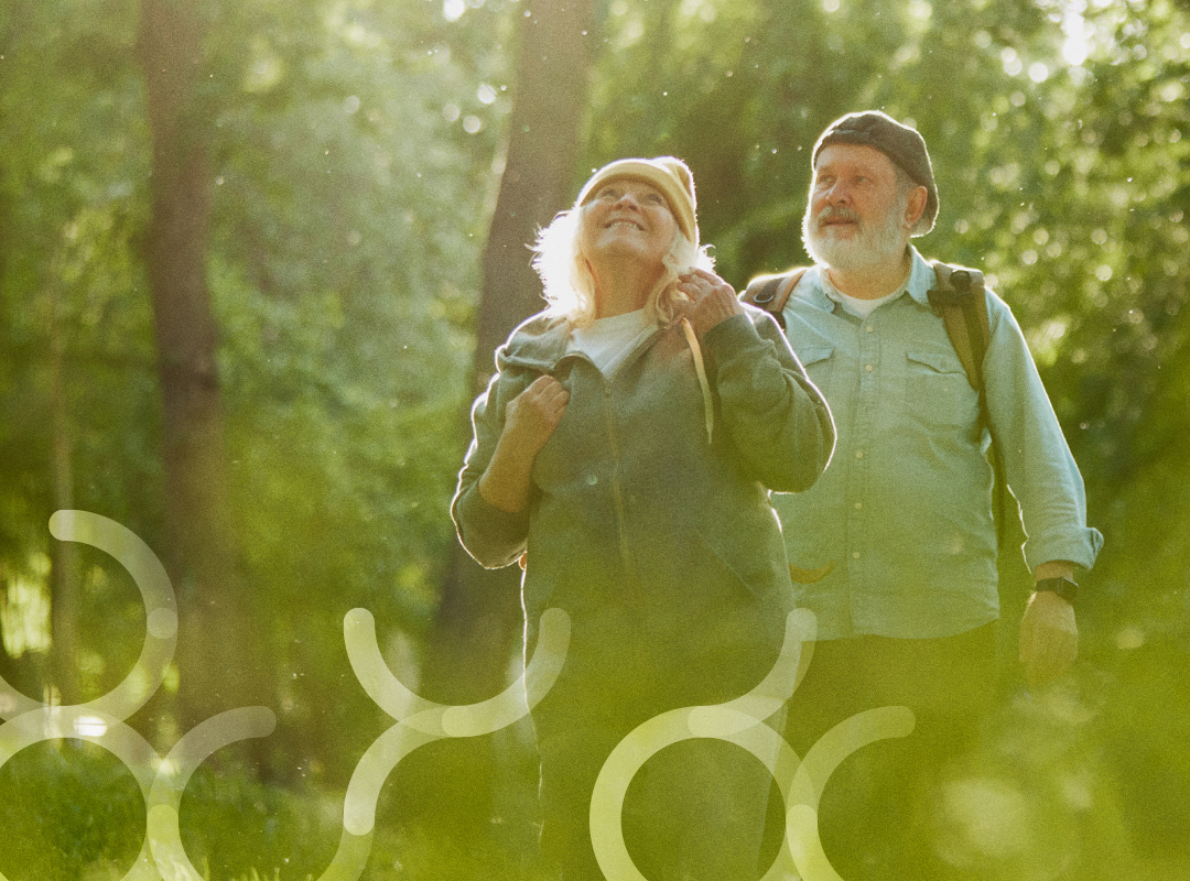 Wandelpaden in het Amsterdamse bos: ontsnap aan de drukte en geniet van de natuur