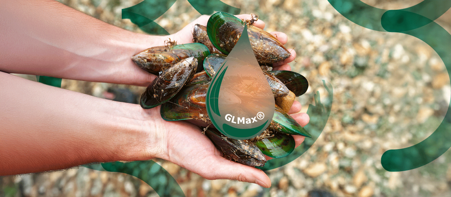 GLMax® vloeibare groenlipmossel