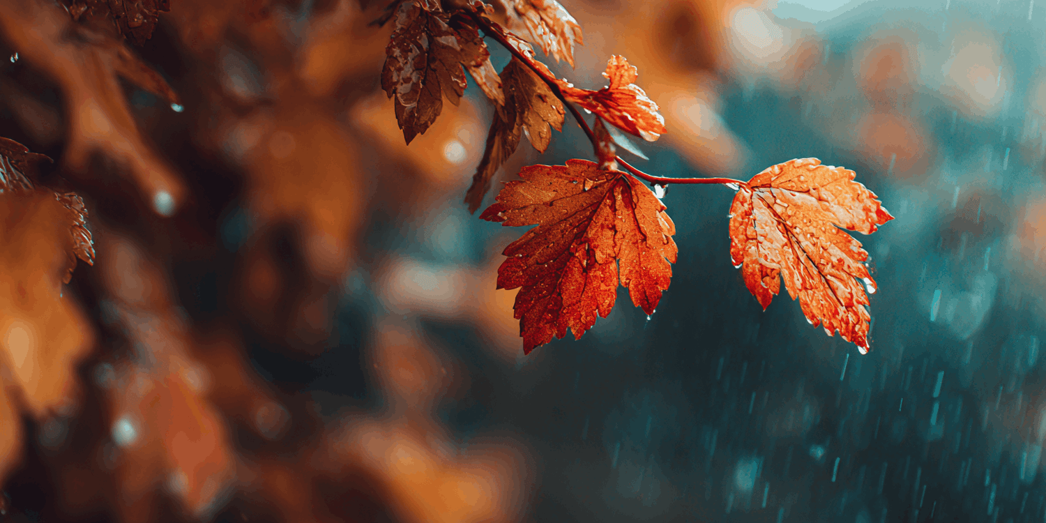 Hoe bereid ik me voor op de herfst?