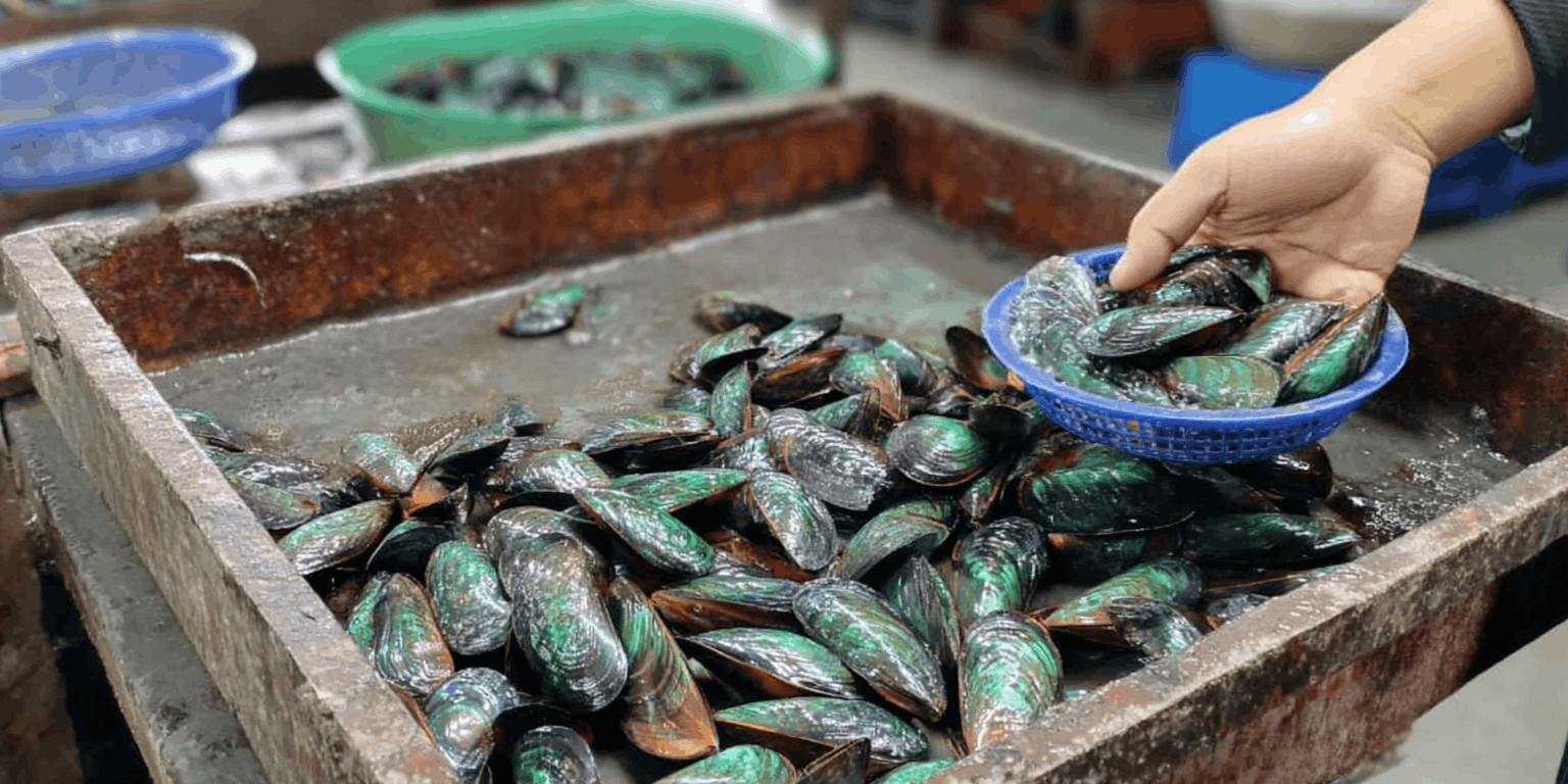 Wat voor vetten zitten er in de groenlipmossel?