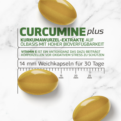 Curcumin Plus