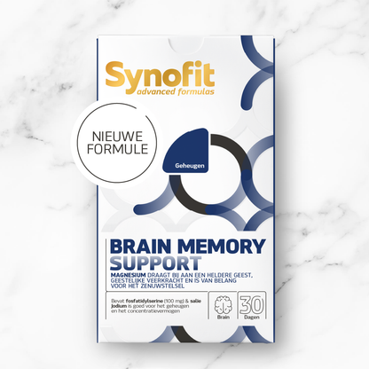 Brain Memory Support