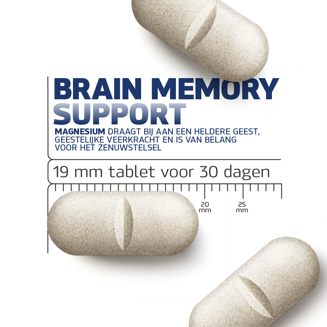 Brain Memory Support