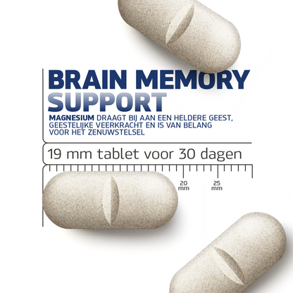 Brain Memory Support