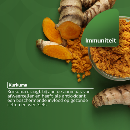 Curcumin plus